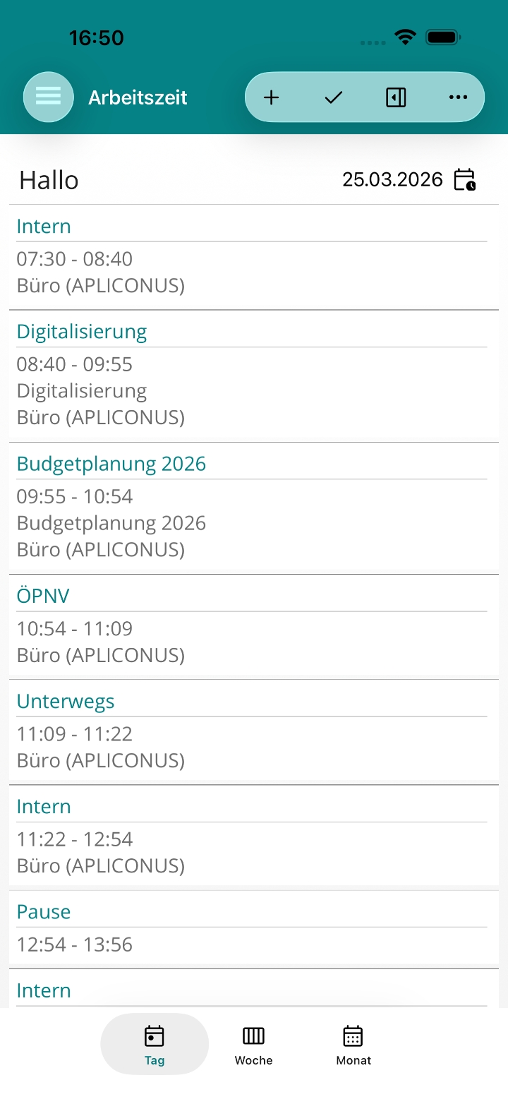 Erfasste Tätigkeiten und Zeiten in der Tagesansicht auf dem iPhone.